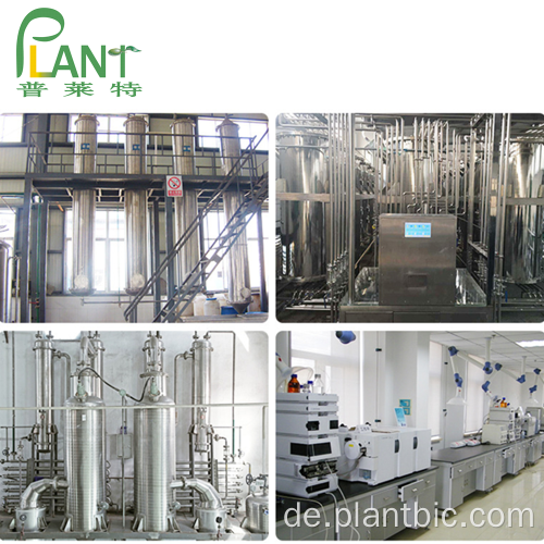 Plantbio Factory Food Supplement EP USP Magnesium Gluconat CAS 3632-91-5 Magnesiumgluconat Pulver